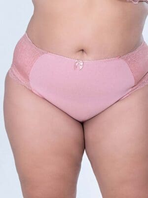 Calcinha Cintura Alta de Algodão Conforto Detalhe Em Renda Ref. 077