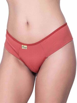 Kit 10 Calcinha Microfibra Conforto Alta de Pala Lateral Dupla Maria  Ref. 039