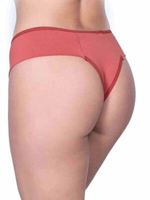 Kit 10 Calcinha Microfibra Conforto Alta de Pala Lateral Dupla Maria  Ref. 039 - Imagem 2