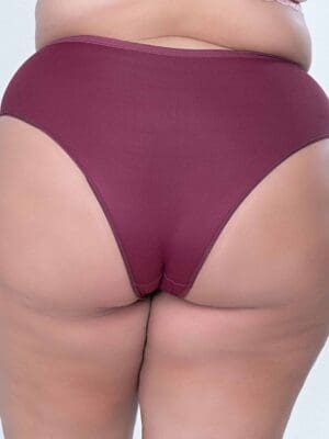 Kit C/5 Calcinha Cintura Alta Calcinha Senhora Calçola Conforto Detalhe Poá Ref. 063 - Imagem 5