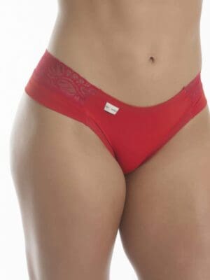 Calcinha Microfibra Conforto com Detalhe Renda Ref. 041 - Imagem 3