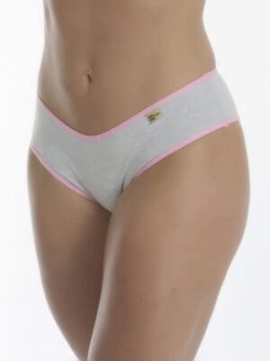 Kit 5 Calcinha de Algodão Mescla Básica Mara Ref. 018